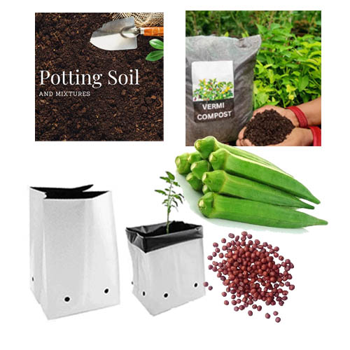 Kit with Ladies Finger Seeds